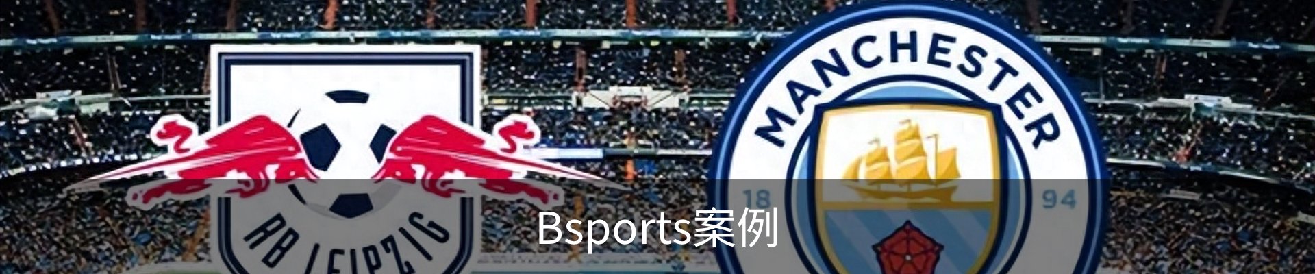 Bsports案例